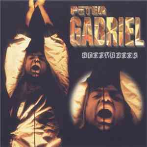 Peter Gabriel - Stonybrook