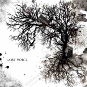 aim  - Lost Voice