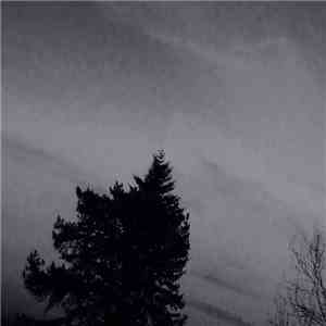 Knshce - 337