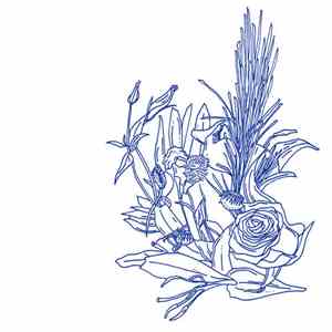 Womankind - Womankind