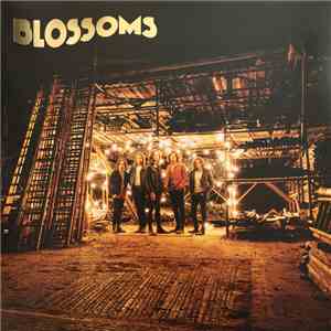 Blossoms - Blossoms