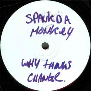 Spank Da Monkey - Why Things Change