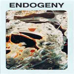 Gen Ken Montgomery - Endogeny