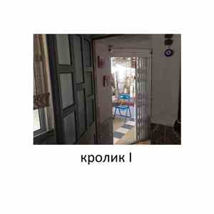 кролик - I ou Em casa da Maria de Lurdes