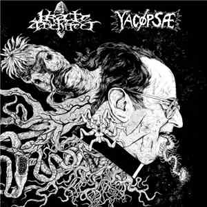 Yacøpsæ / Irate Architect - Split CD
