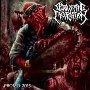 Disgusting Castigation - Promo 2015