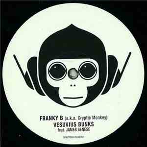 Franky B aka Cryptic Monkey - Vesuvius Bunks