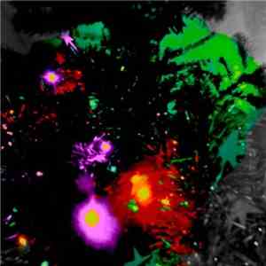 Legendary Pink Dots - The Legendary Pink Dots' Christmas Album 