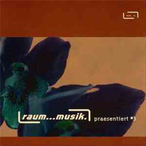 Various - Raum...Musik Präsentiert #3