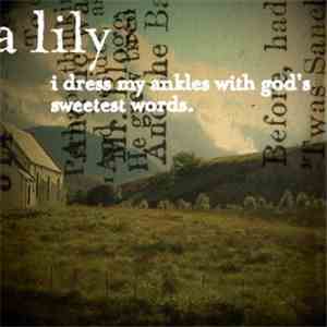 A Lily - I Dress My Ankles With God's Sweetest Words
