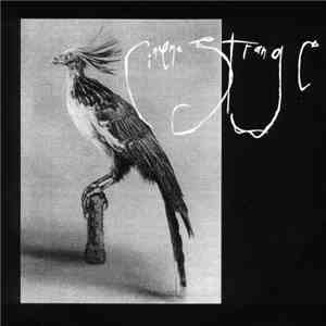 Cinema Strange - Lindsay's Trachea / Greensward Grey