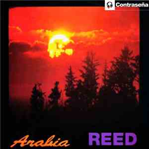Reed - Arabia