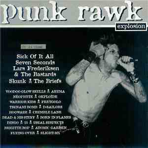 Various - Punk Rawk Explosion #17
