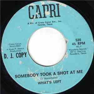 What's Left - Somebody Took A Shot At Me