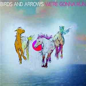 Birds And Arrows - We're Gonna Run