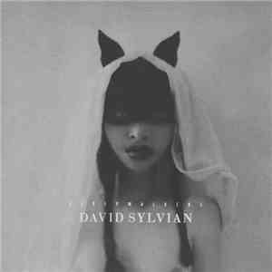 David Sylvian - Sleepwalkers