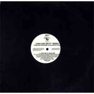 Timbaland & Magoo featuring DeVante Swing - Can U Get Wit It (Remix)