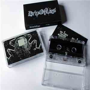 Drip Of Lies - Failure