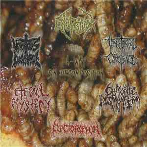 Flactorophia / Demonic Dismemberment / Eternal Mystery / Vomitous Discharge / Engravor / Vomitorial Corpulence - 6-Way Sin Decomposition Split