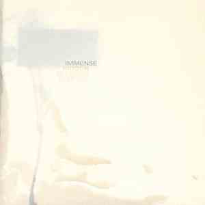 Immense - Hidden Between Sleeves