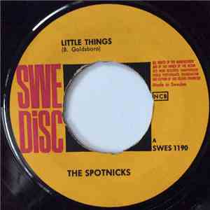 The Spotnicks - Little Things