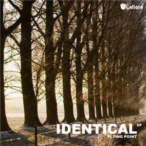 Flying Point - Identical EP