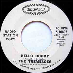 The Tremeloes - Hello Buddy