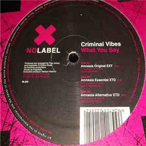 Criminal Vibes - What You Say