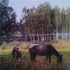 Pianos Become The Teeth - Old Pride