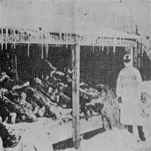 Traitor Effigy - Impure Blood