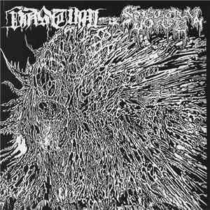 Vastum / Spectral Voice - Vastum / Spectral Voice