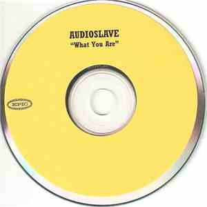 Audioslave - What You Are