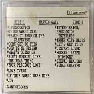 Marvin Gaye - The Last Concert Tour