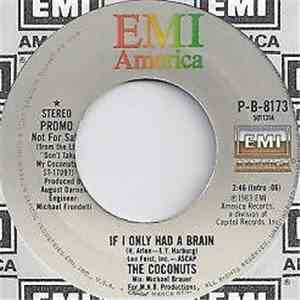 The Coconuts - If I Only Had A Brain