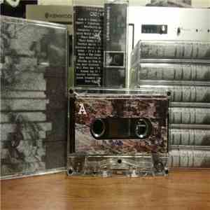 Various - Collected Aural Detriments Vol. 4