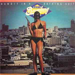 David Bromberg Band - Bandit In A Bathing Suit