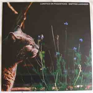 Lunatics On Pogosticks - Sniffing Lavender