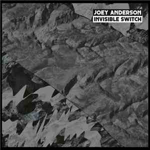 Joey Anderson  - Invisible Switch