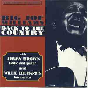 Big Joe Williams With Jimmy Brown  And Willie Lee Harris - Back To The Country