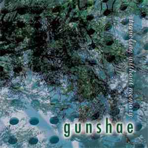 Gunshae - Traveling Without Memory