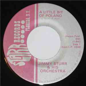 Jimmy Sturr And His Orchestra - A Little Bit Of Poland