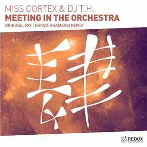 Miss Cortex & DJ T.H. - Meeting In The Orchestra