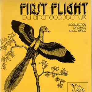 Archaeopteryx  - First Flight