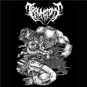 Traumatomy - Promo
