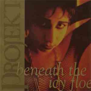 Various - Beneath The Icy Floe - A Projekt Sampler