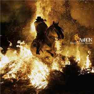 AaRON  - Birds In The Storm