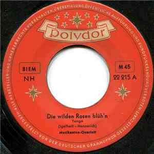 Musikanten-Quartett - Die Wilden Rosen Blüh'n / Deinen Ring Hab' Ich Getragen