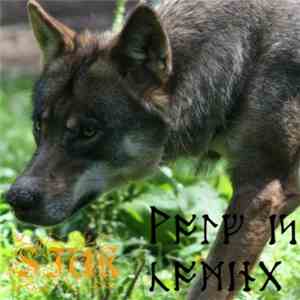 Sjuk - Wolf Is Coming (Demo)