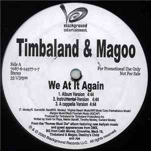 Timbaland & Magoo - We At It Again