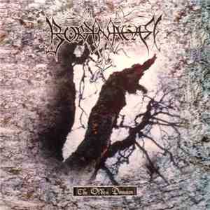 Borknagar - The Olden Domain